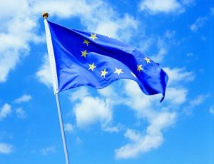 Free-Shipping-Retail-NEW-100-Polyester-Printed-Large-2-160-240-cm-font-b-European-b